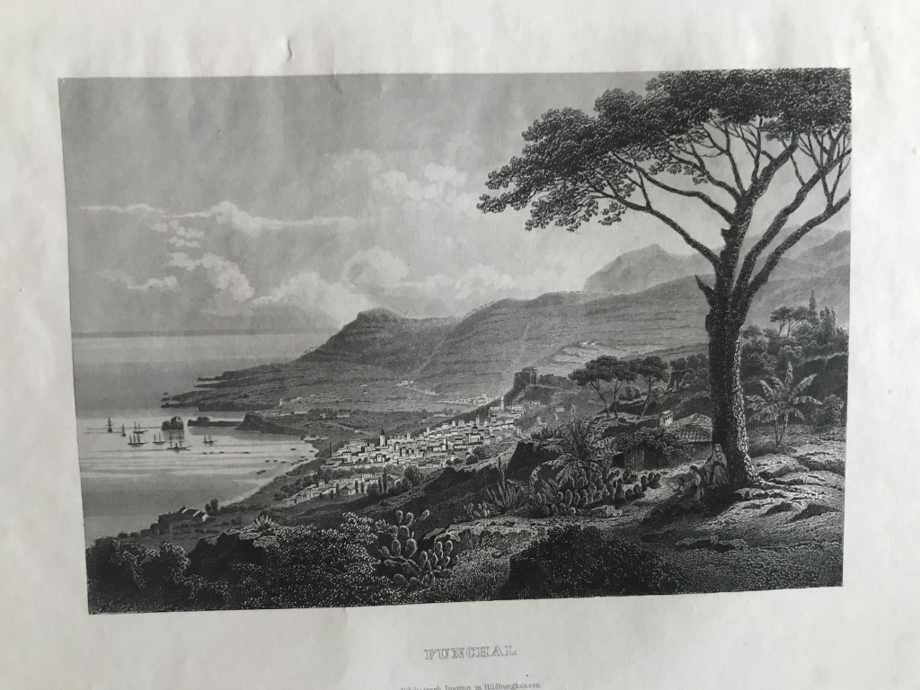 Vista de la ciudad de Funchal (isla de Madeira, Portugal), hacia 1850. Bibliog. Inst. Hild.