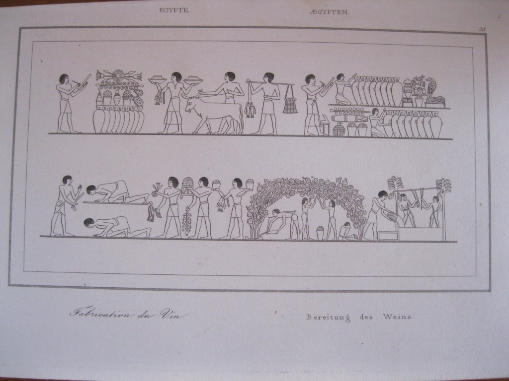 Relieves egipcios sobre la fabricación del vino (Egipto), 1850. Anónimo