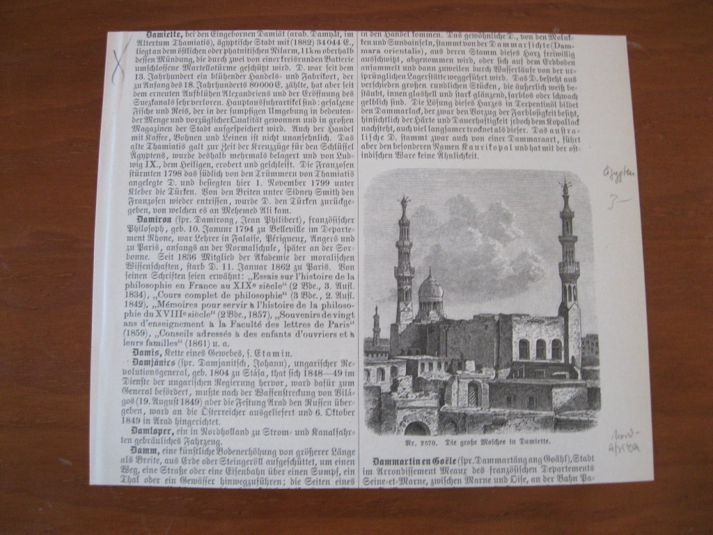 La gran mezquita de Damieta (Egipto) y vista de un Kauri, 1850. Anónimo