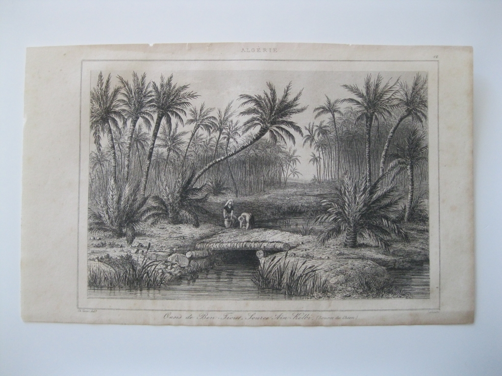 Vista del oasis de Ben- Fiout (Argelia), hacia 1850. Lemaitre