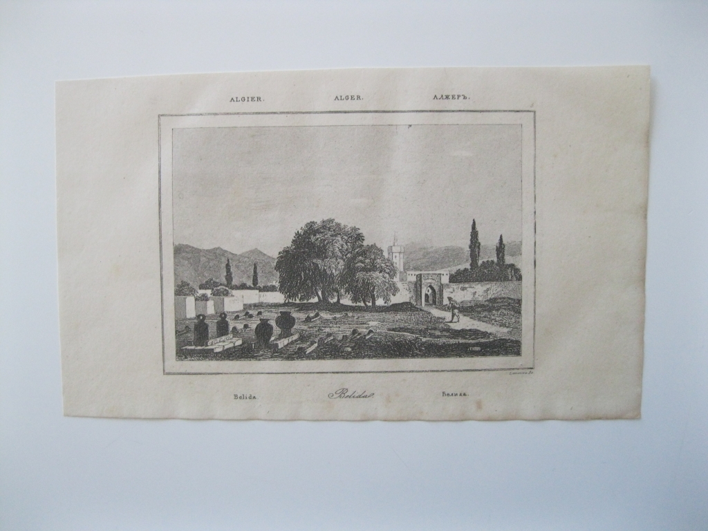 Vista de la ciudad de Blida (Argelia, África), 1850.Lemaitre