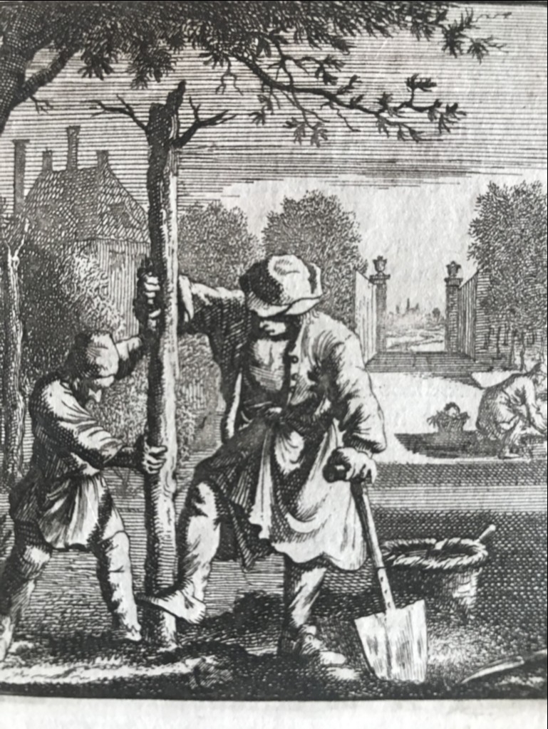 Plantando un árbol en un jardín, 1719. Weigel