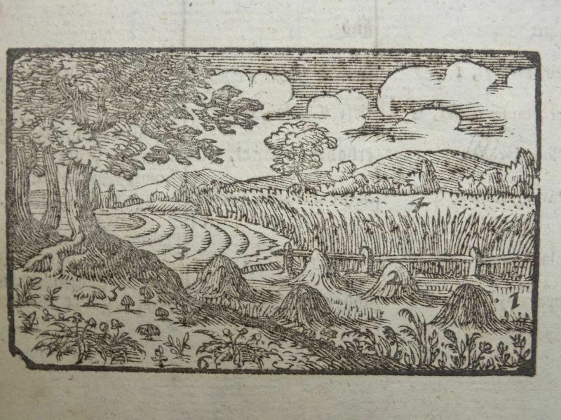 Campos cultivados barrocos y II, 1754. Anónimo.