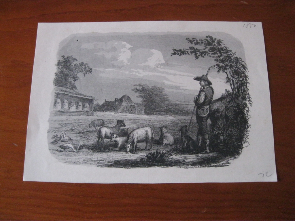 El pastor y su rebaño, hacia 1850. Anónimo