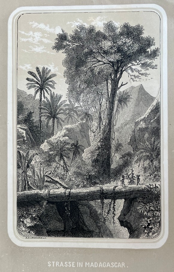 Camino en la selva de la isla de Madagascar (África), hacia 1880. E. Grenier/Bresdenbach