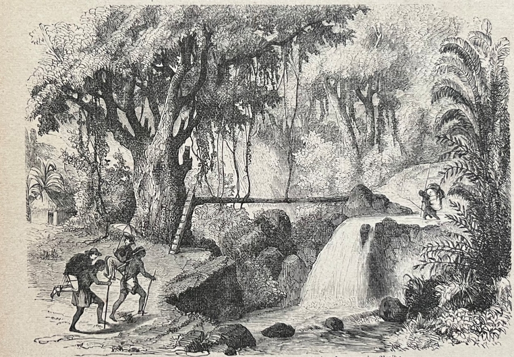 Puente de madera sobre cascada de río en México, 1875. Anónimo alemán