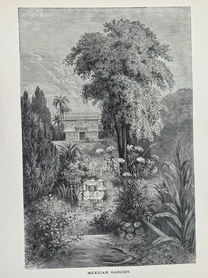 Jardines de México, hacia 1880. Lancelot/Bertrand y Foulruter/Pannemarket