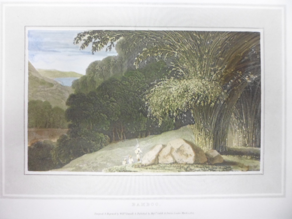 Bamboo, 1807, William Daniell