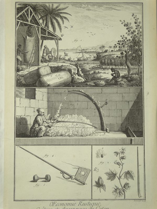 5 grabados sobre economía rustica e industria del algodón, 1765. Diderot /D'Alembert