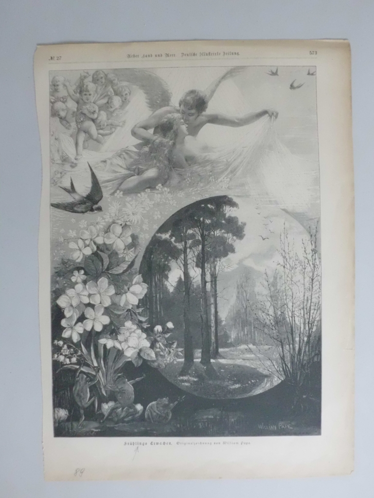 Bellas fantasías, 1889
