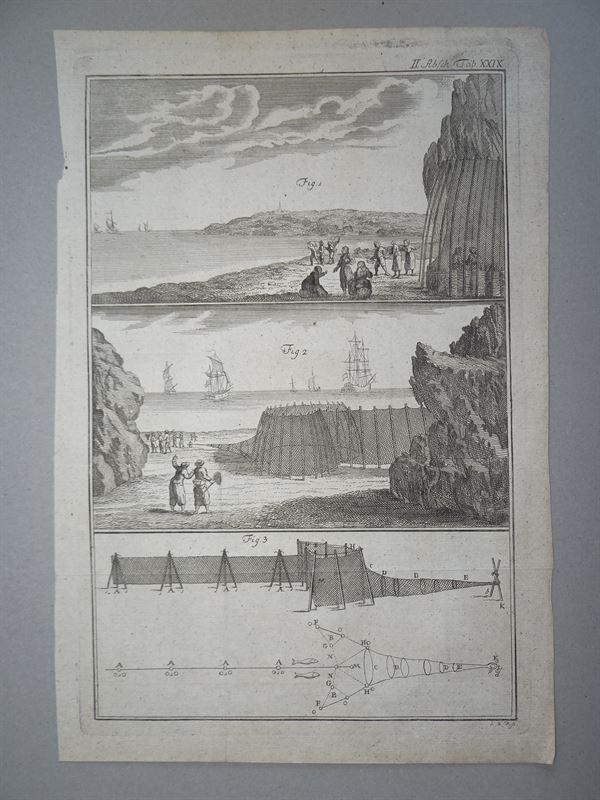 Arte de la pesca y marisqueo, VIII, 1773. Schreber