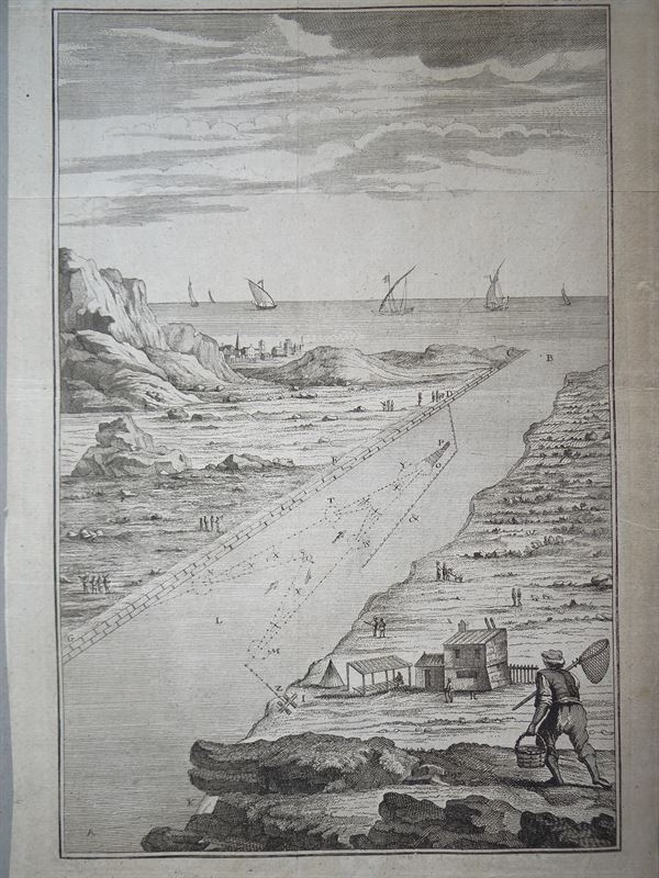 Arte de la pesca y marisqueo XIII, 1773. Schreber