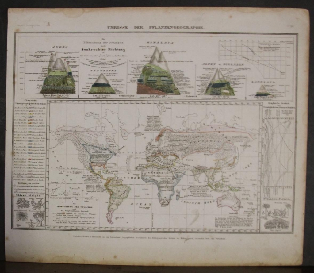 Mapa de la distribución de la vegetación en el Mundo, 1852. Meyer