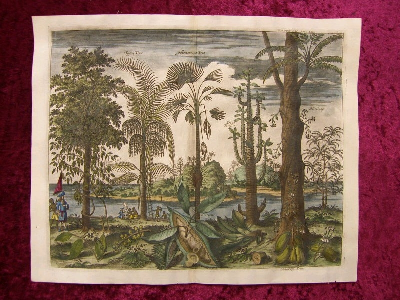 Paisaje exótico de Brasil (América del sur) y escena cotidiana, 1704. J. y A. Churchill