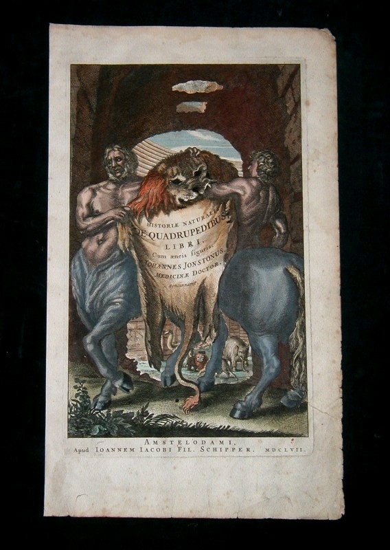 Frontispicio de la obra Historiae Naturalis, 1657. M. Merian