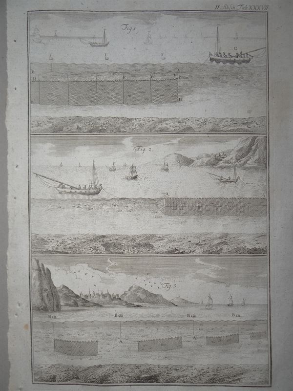 Pesca de mar. Pesca de arrastre III, 1773. Daniel Schreber/Philippin/Kanter