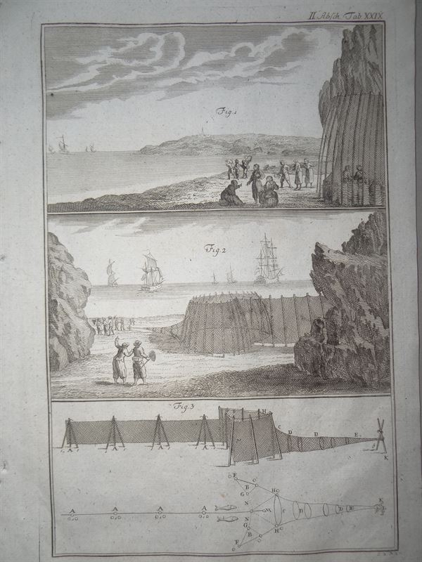 Pesca de mar. Pesca con redes I, 1773. Schreber/ Philippin/ Kanter