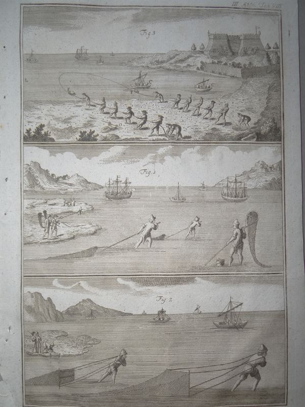 Pesca de mar. Pesca con redes recogehojas II, 1773.  Daniel Schreber/Philippin/Kanter