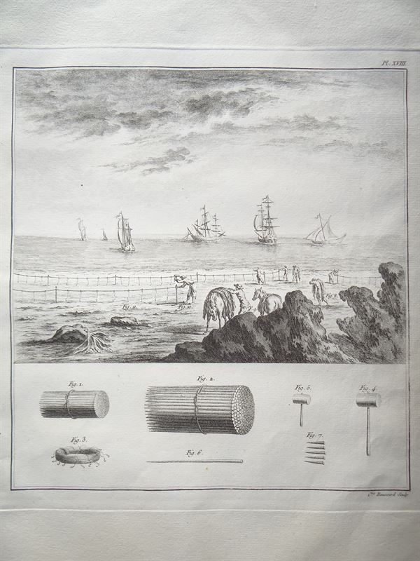 Pesca IV. Captura de peces con red, 1769. Duhamel de Monceau/Hussard/Saillant y Nyon