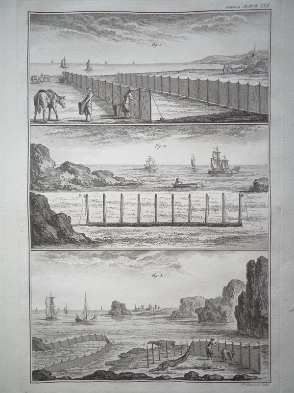 Pesca V. Pesca con redes en la orilla, 1769. Duhamel de Monceau/Haussard/Saillant