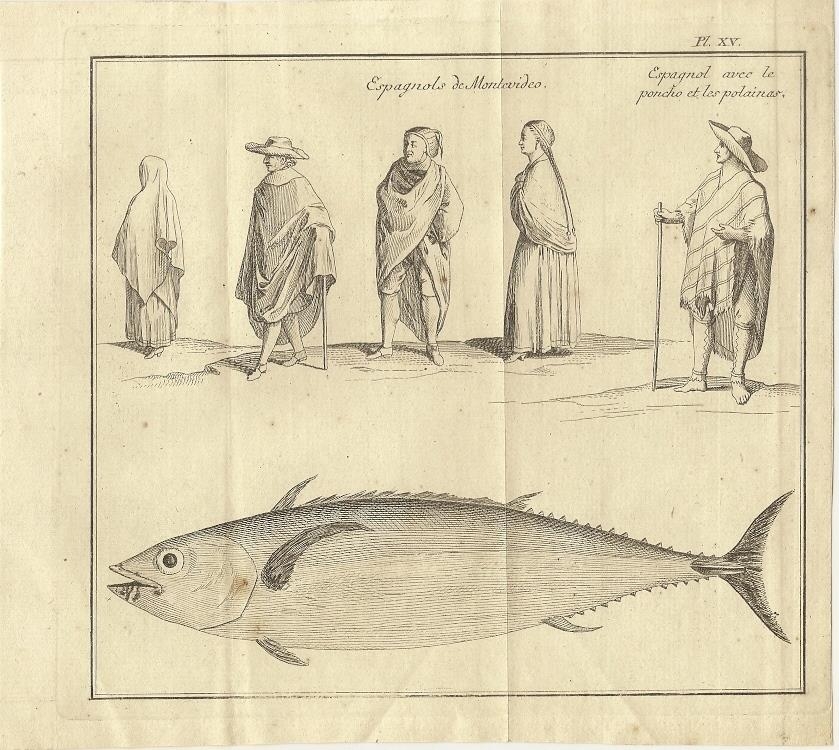 Españoles de Montevideo (Uruguay, América del sur) y atún, 1772. Bellin / Prevost