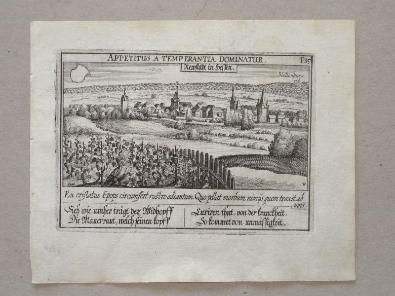 Antigua vista de la ciudad de Neustadt (Alemania), 1630. Meisner