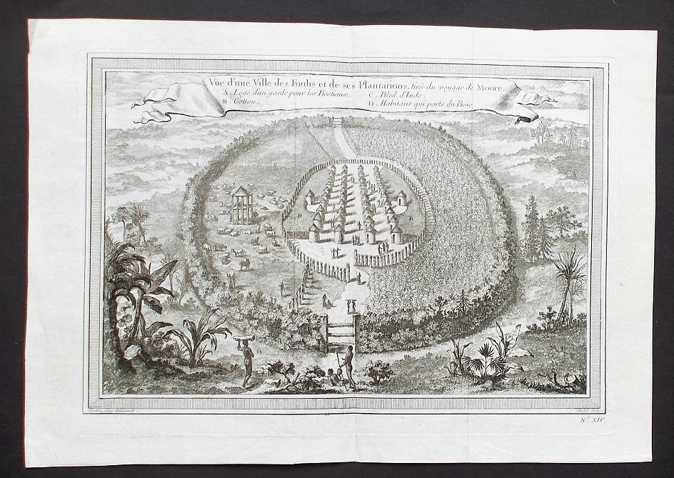 Vista de un pueblo y plantación de algodón de los Foulis (Senegal, África), 1742. Bellin/Prevost