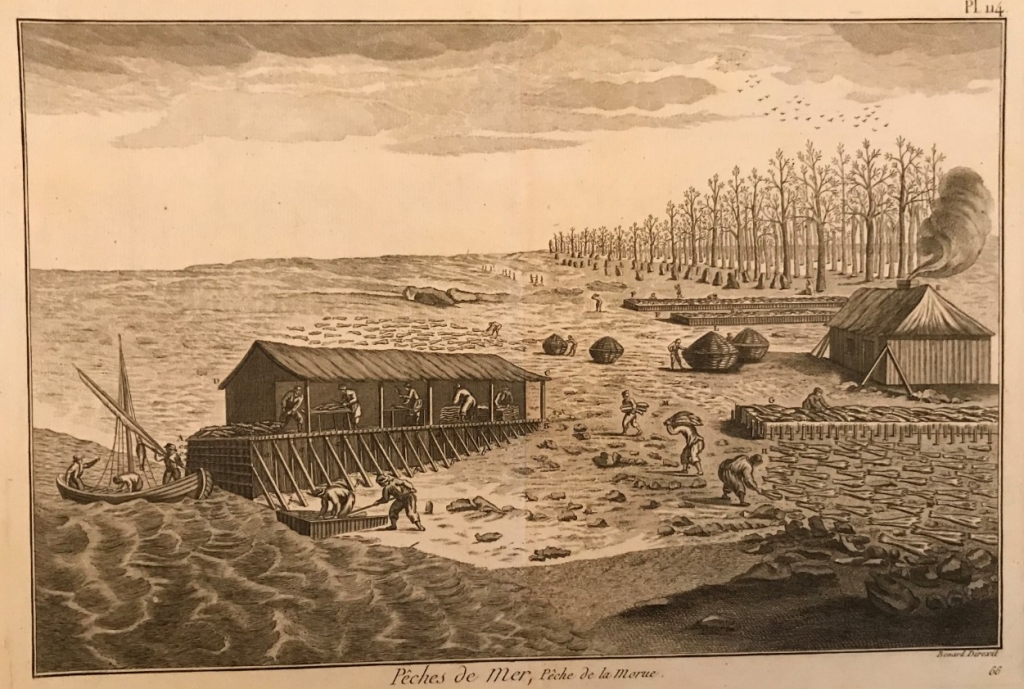 Pesca y trabajo posterior del bacalao , 1792.Panckoucke/Bernard