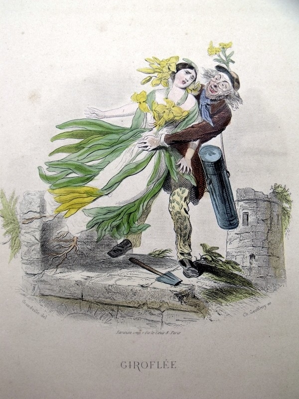 Personificación de la flor de girasol, 1840. Grandville