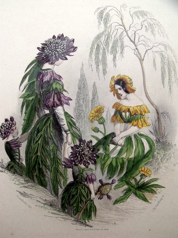 Personificación de la flor de diente de león, 1840. Grandville