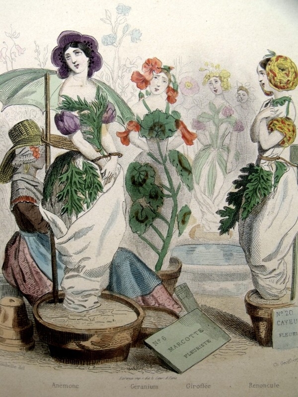 Personificación de la flor de la amapola, 1840. Grandville