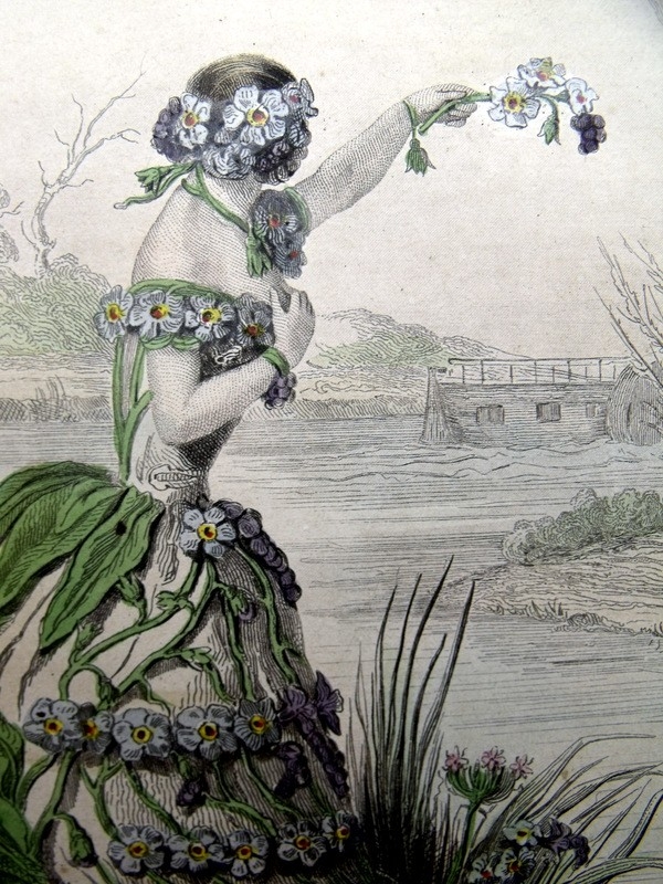 Personificación de la flor de myosotis, 1840. Grandville