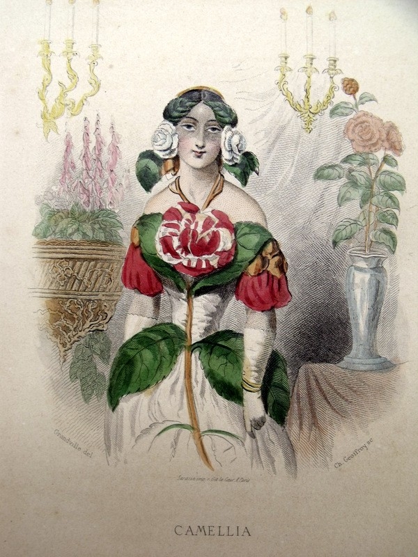 Personificación de la flor de  la camelia, 1850. Grandville