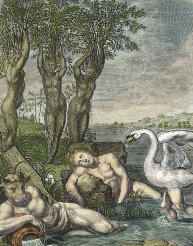 Escena mitológica: La transformación de Cygnus en un cisne..., 1733. Bernard Picart/Chatelain