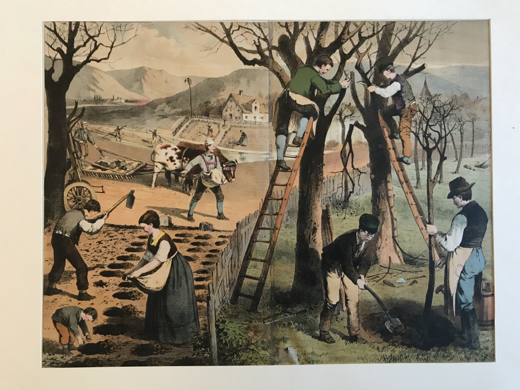 Cosechando patatas y podando y plantando árboles, hacia 1860. Anónimo alemán