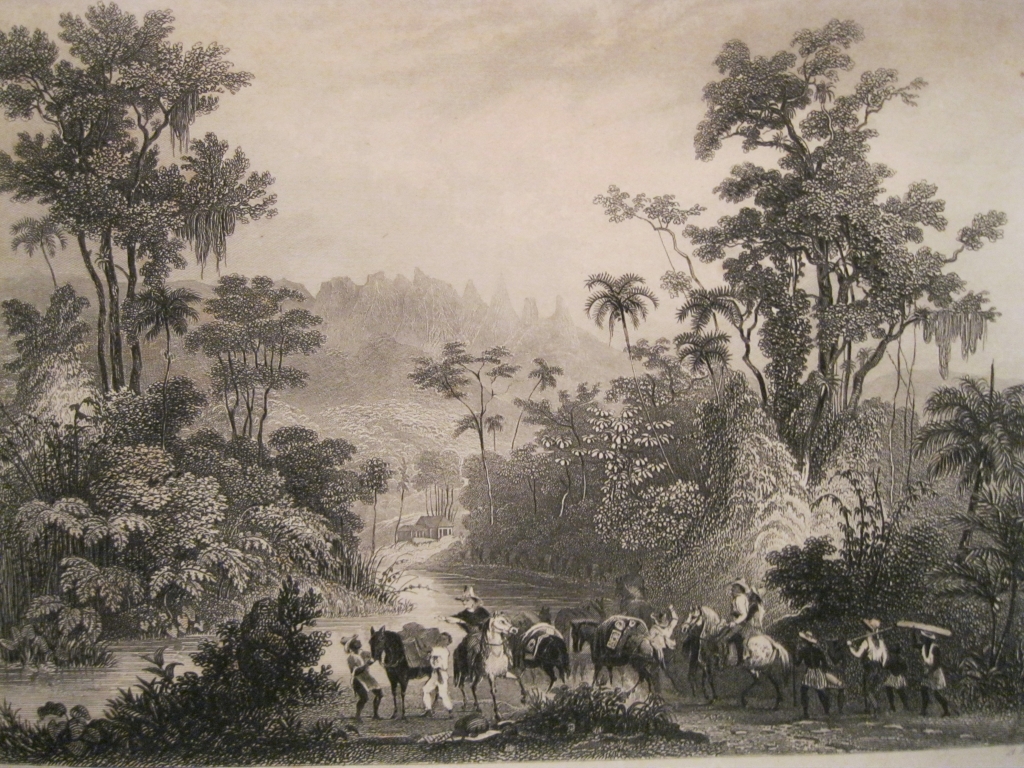 Viajeros en Brasil, hacia 1850. H. Pyne