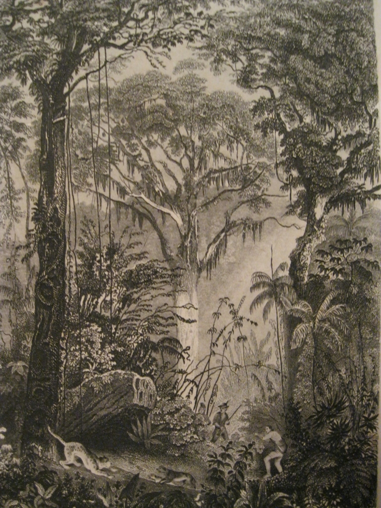 Hombres en la selva de Brasil, hacia 1850. Payne