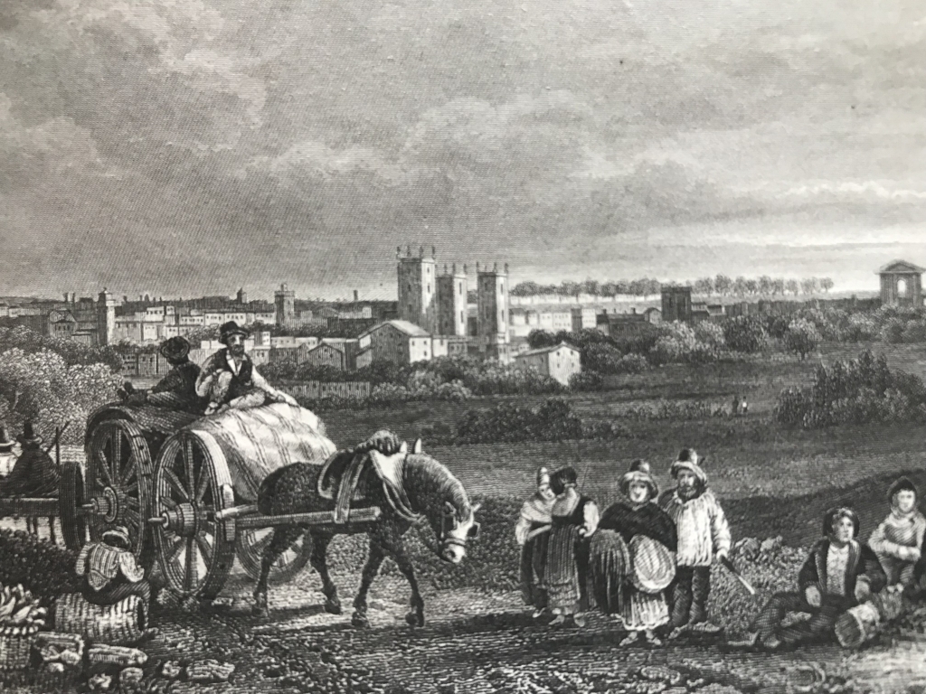 Vista de la ciudad de Montpellier (Francia), hacia 1850. Reiss/Poppel