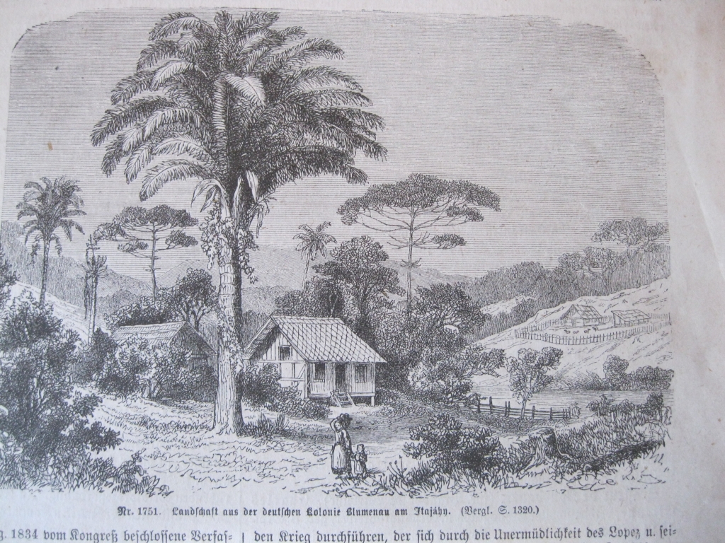 Paisaje de la colonia alemana de Blumenau (Santa Catarina, Brasil), ca. 1860. Anónimo