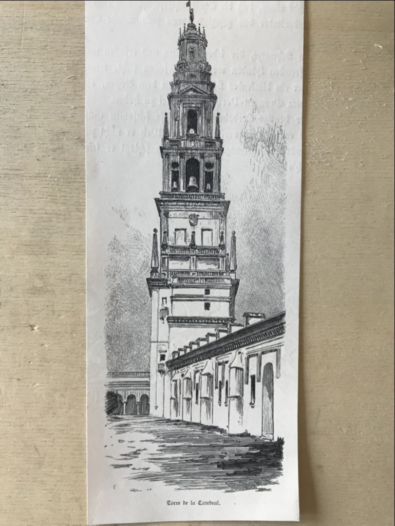 Vista panorámica de la torre de la catedral de Córdoba (España), hacia 1885. Knesing